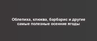 Облепиха, клюква, барбарис и другие самые полезные осенние ягоды