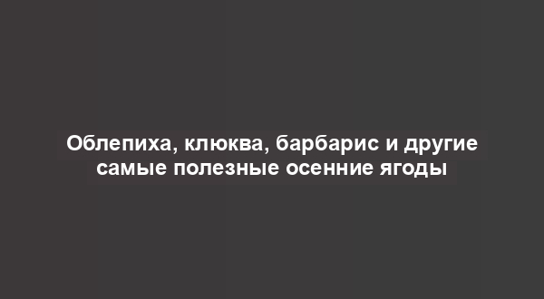 Облепиха, клюква, барбарис и другие самые полезные осенние ягоды