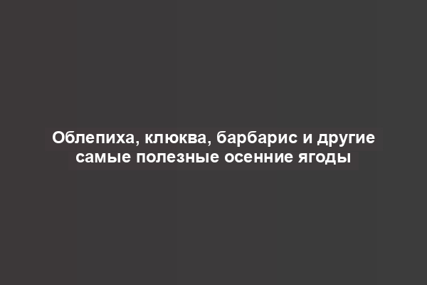 Облепиха, клюква, барбарис и другие самые полезные осенние ягоды