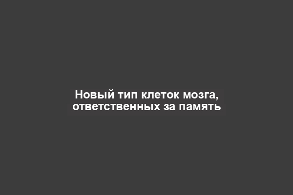 Новый тип клеток мозга, ответственных за память