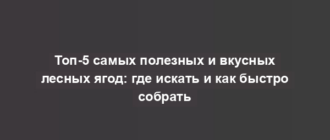 Топ-5 самых полезных и вкусных лесных ягод: где искать и как быстро собрать