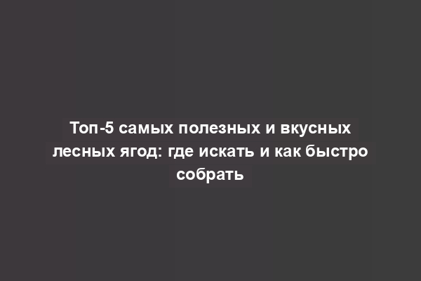 Топ-5 самых полезных и вкусных лесных ягод: где искать и как быстро собрать