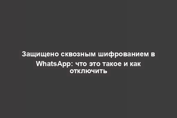 Защищено сквозным шифрованием в WhatsApp: что это такое и как отключить