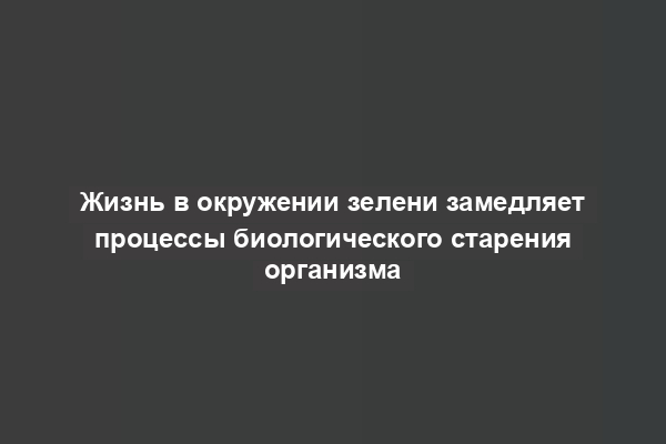 Жизнь в окружении зелени замедляет процессы биологического старения организма