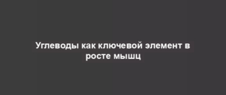 Углеводы как ключевой элемент в росте мышц