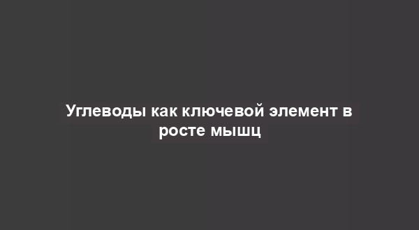 Углеводы как ключевой элемент в росте мышц