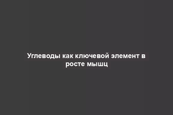 Углеводы как ключевой элемент в росте мышц